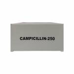 カンピシシリン(Campicilin) 250mg 100カプセル63f6be4cb6e13.jpg