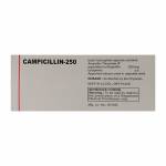 カンピシシリン(Campicilin) 250mg 100カプセル63f6be4cb75a9.jpg